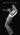The Complete Jack Johnson Sessions