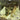 Farrenc: Symphony 2 / Overtures 1 & 2