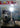 White Fang
