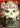 Hostile Hauntings [DVD]