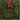 Highland Christmas / Various