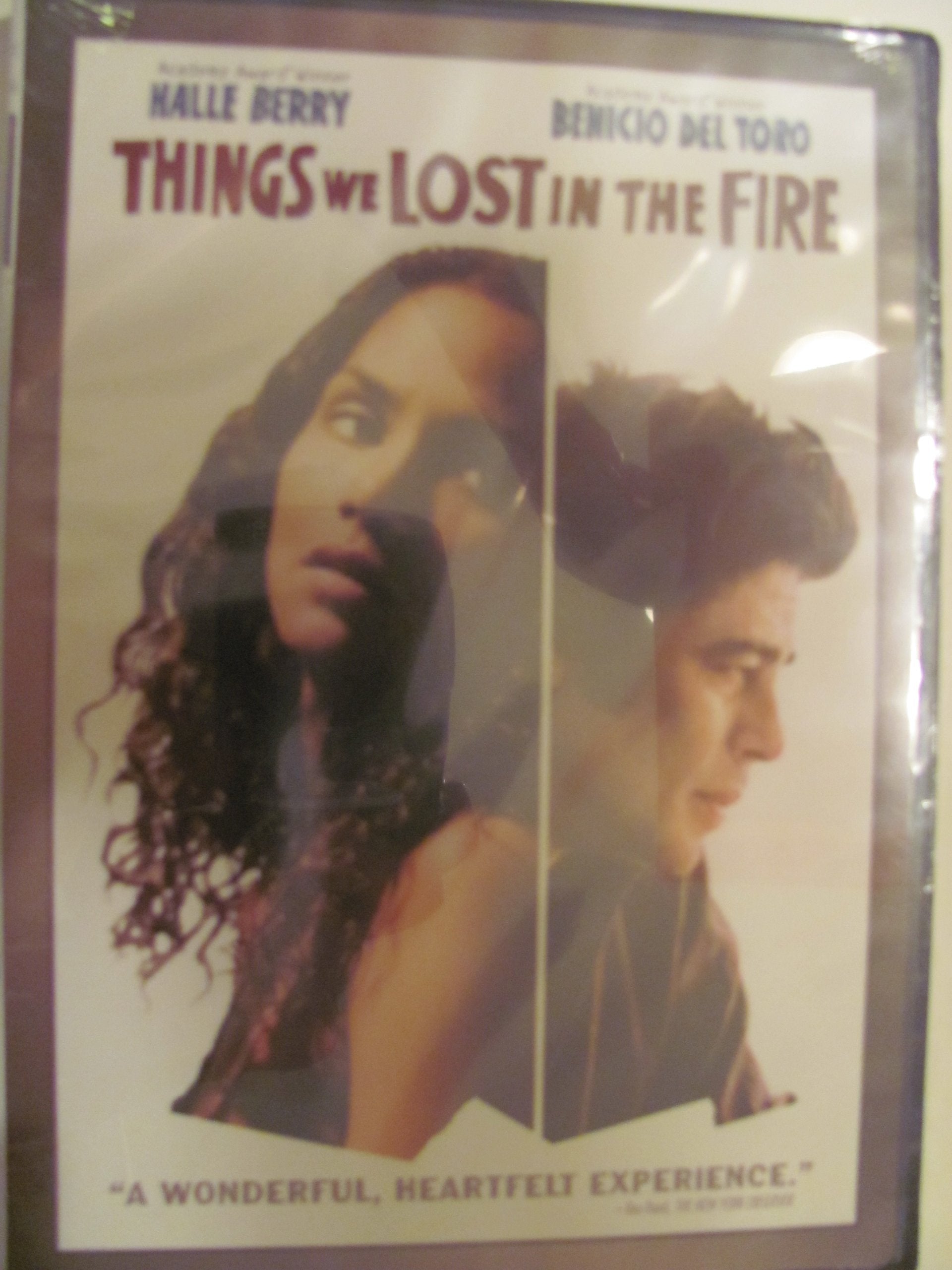 THINGS WE LOST IN THE FIRE