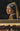 Girl with a Pearl Earring Publisher: Plume