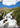 Virtual Active - Swiss Alps Hike