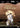Grave of the Fireflies