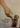 The Paw Project Movie - Dvd