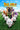 The Nut Job 2: Nutty by Nature [DVD]