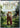 Princess Bride, The