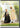 Victoria & Abdul [DVD]