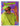 Fresh Prince of Bel-Air, The: Seasons 1-3 (3PK/EPIK/DVD)