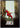 Joker (DVD)