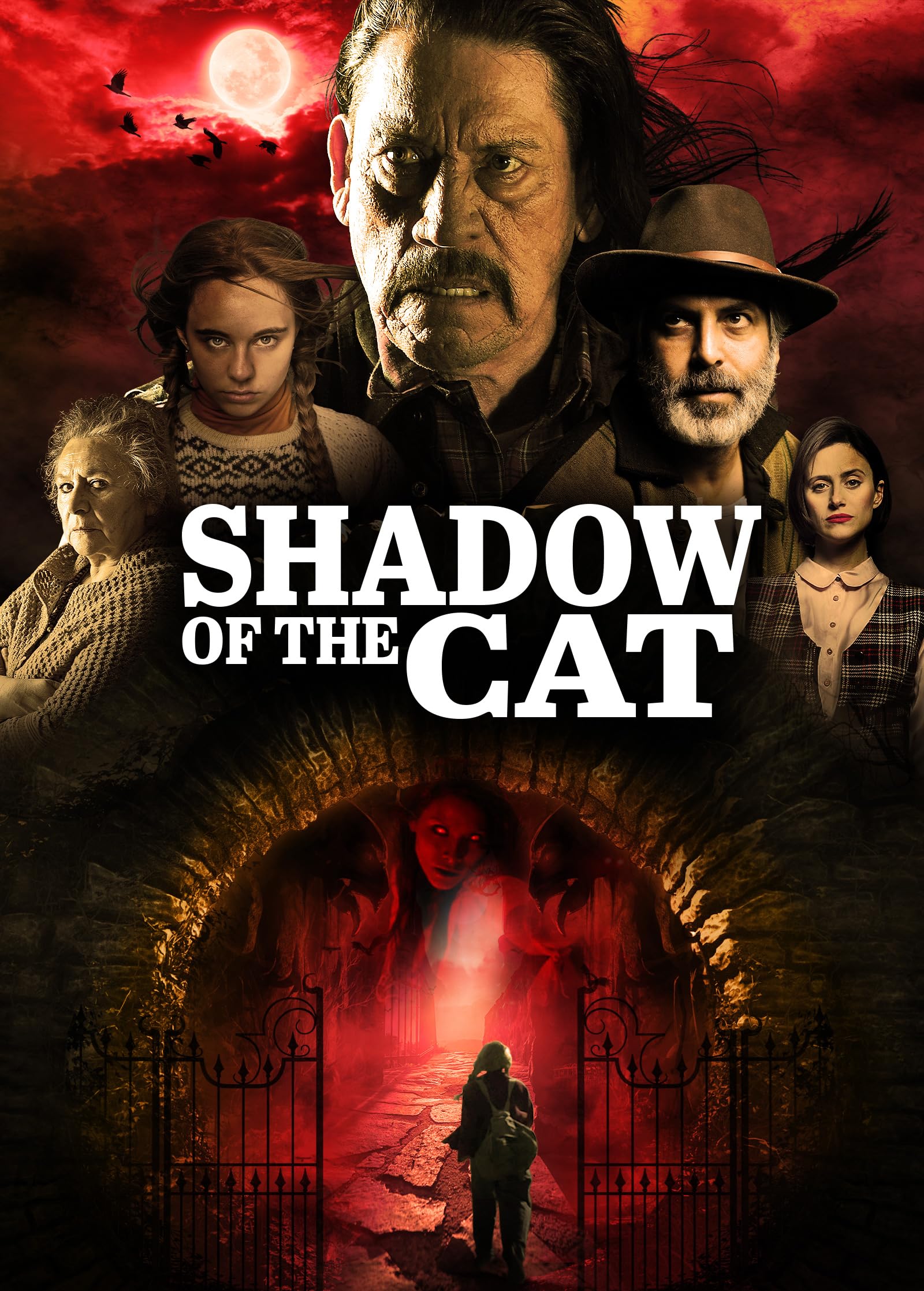 Shadow of the Cat - 4161