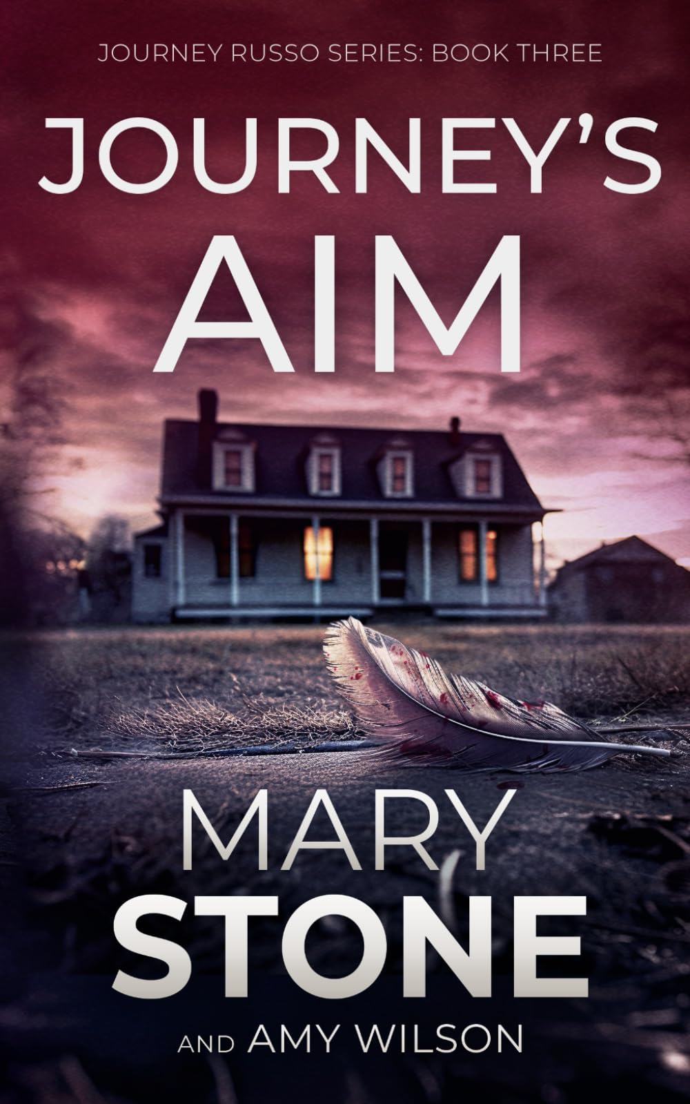 Journey's Aim (Journey Russo FBI Mystery Series)