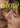 Slow [DVD]