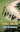 Horse Racing : Secrets and Curiosities