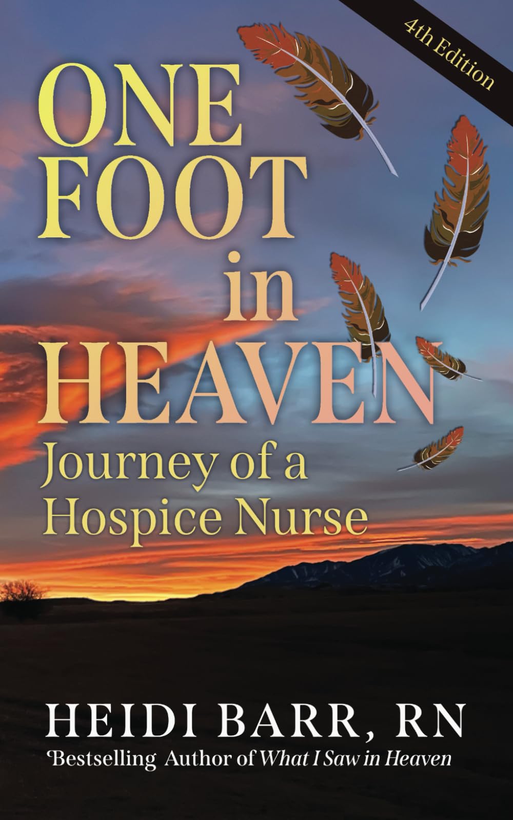 One Foot in Heaven, Journey of a Hospice Nurse