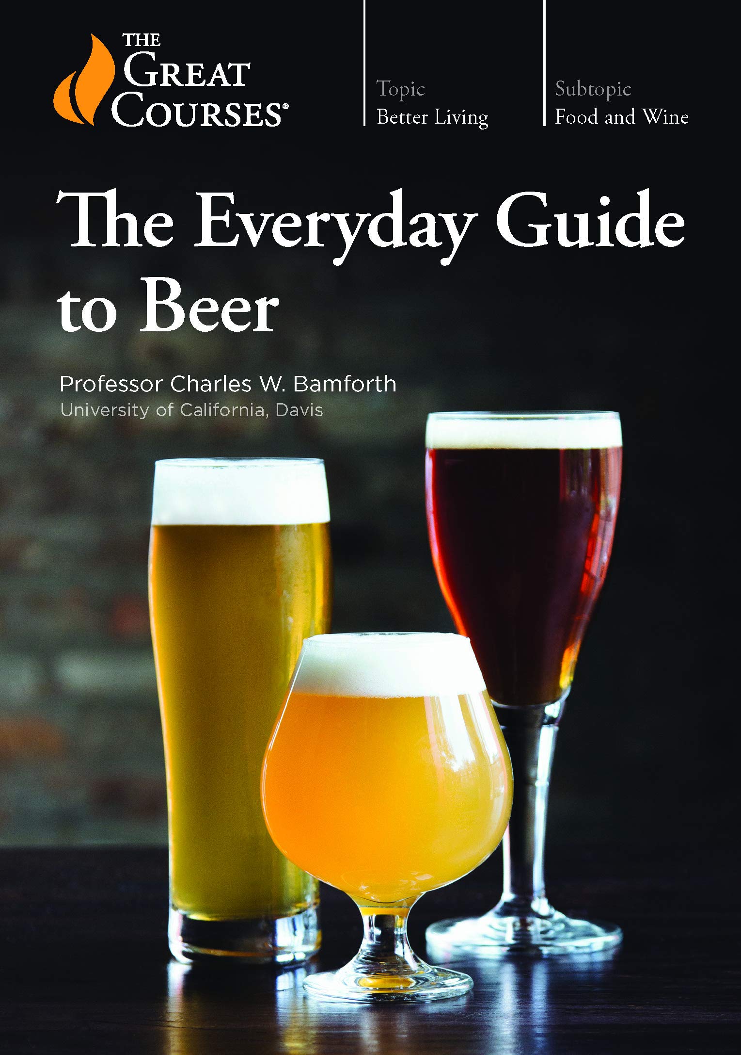 Everyday Guide to Beer - 4294