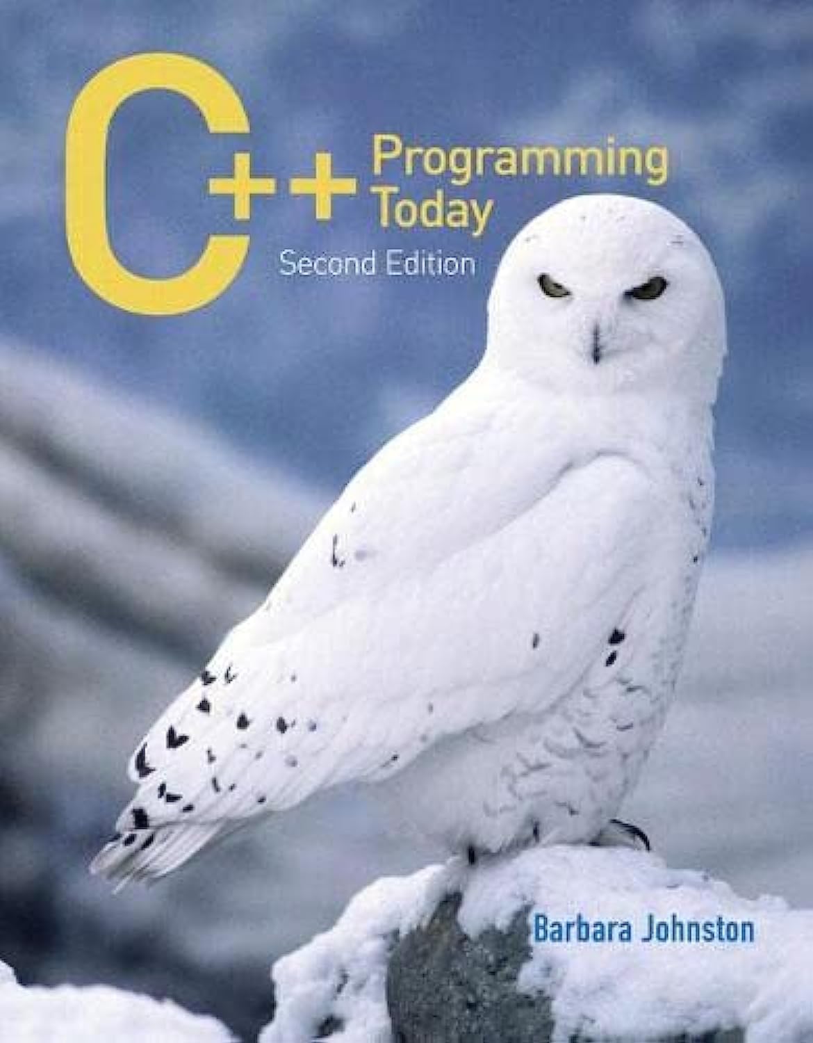 C++ Programming Today - 7652