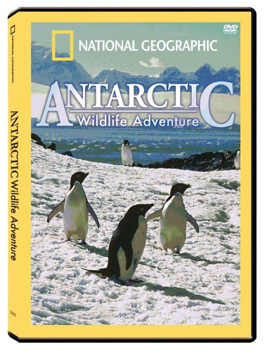 National Geographic - Antarctic Wildlife Adventure - 3486