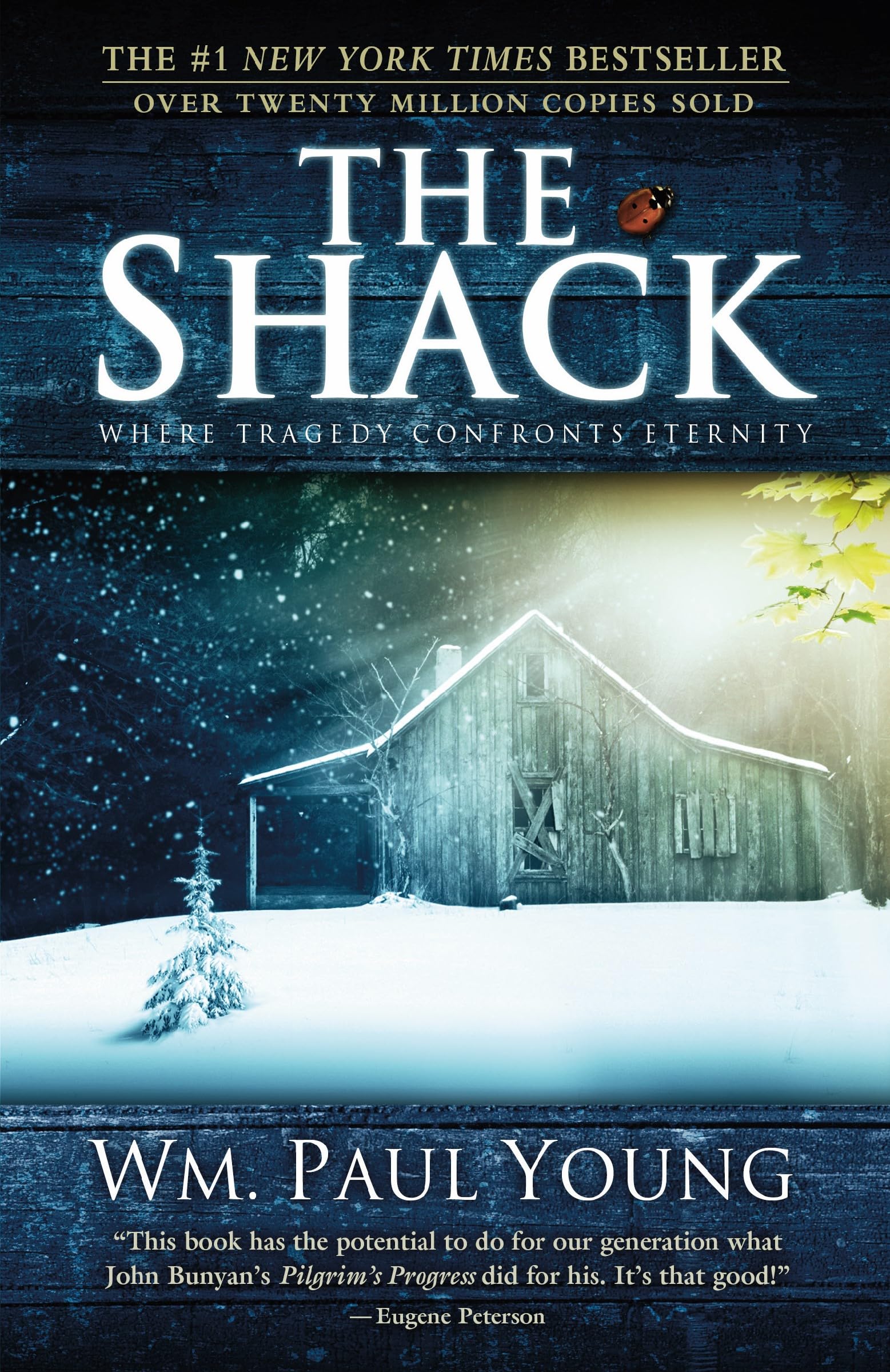 The Shack: Where Tragedy Confronts Eternity - 8381