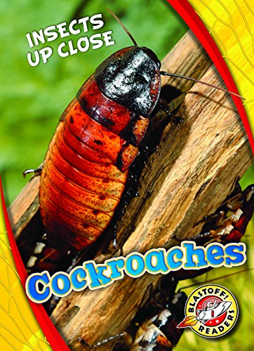 Cockroaches (Insects Up Close) - 3814