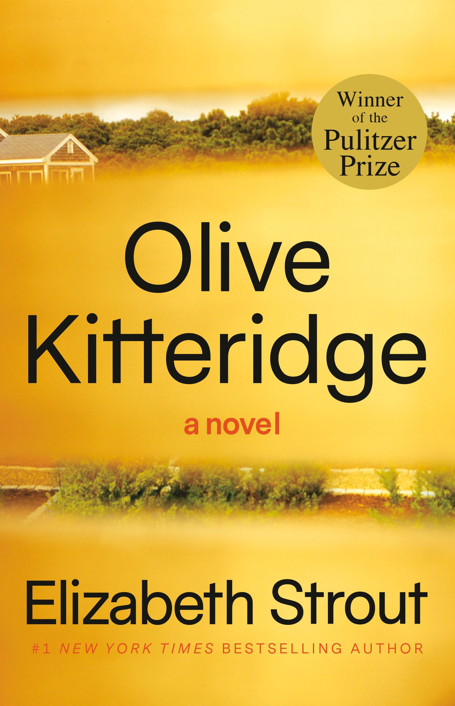 OLIVE KITTERIDGE - 9222