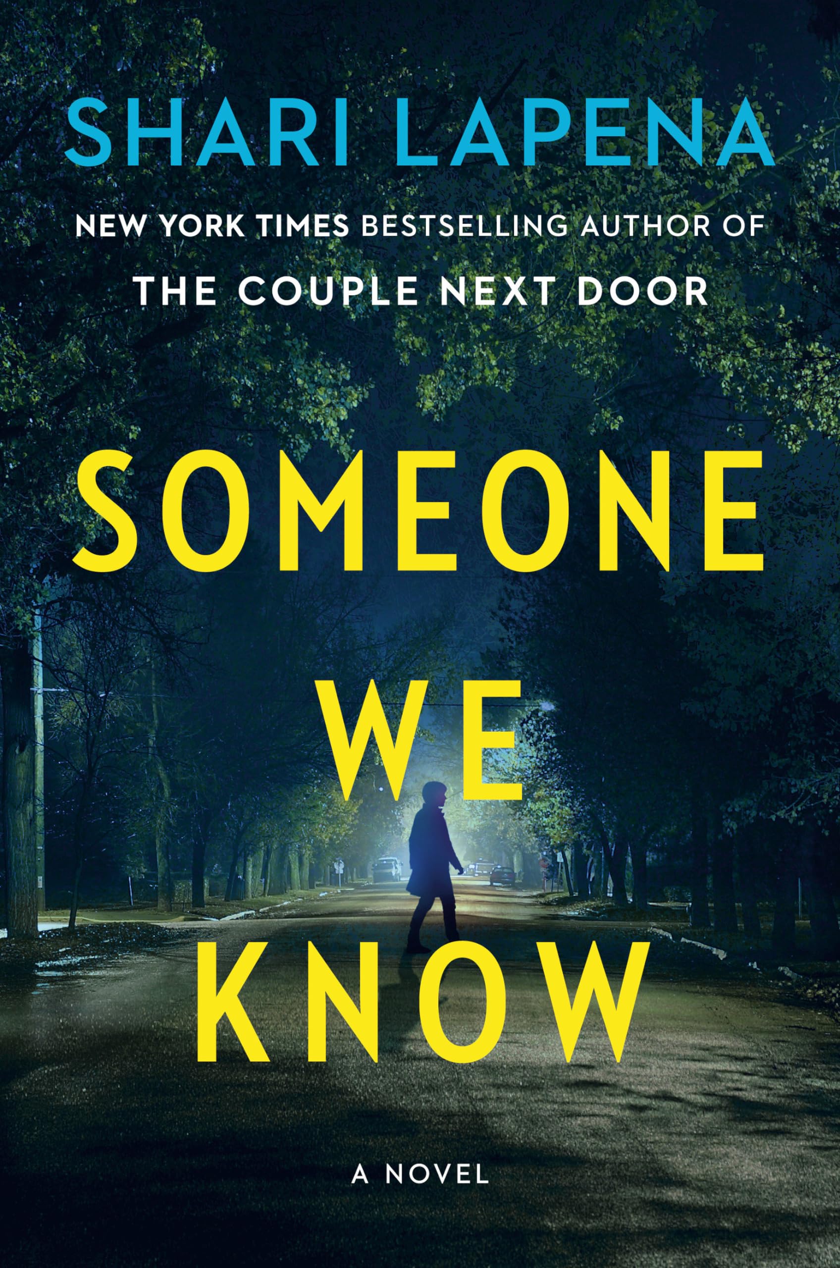 Someone We Know: A Novel - 7029