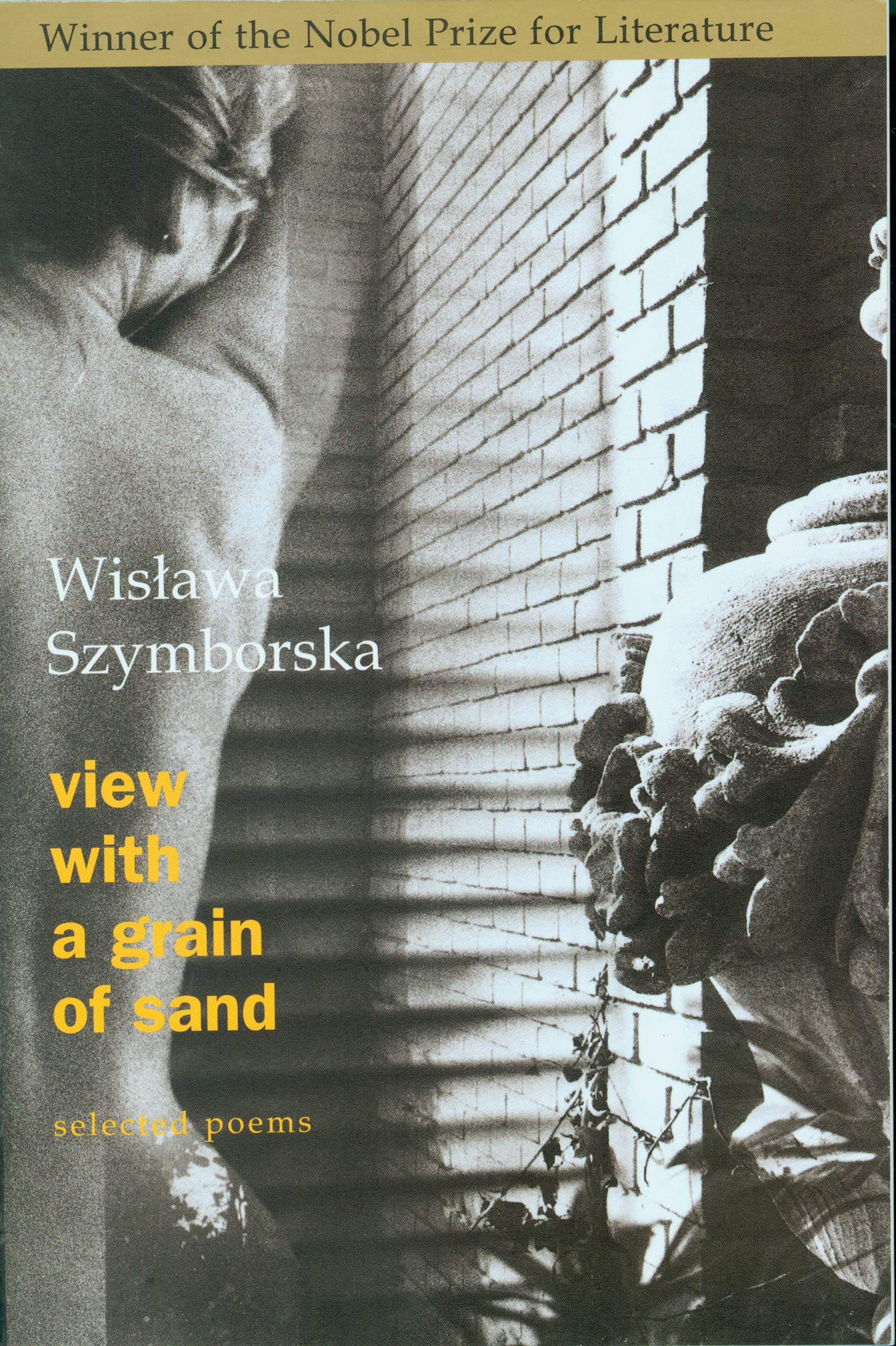 View with a Grain of Sand: Selected Poems - 2802