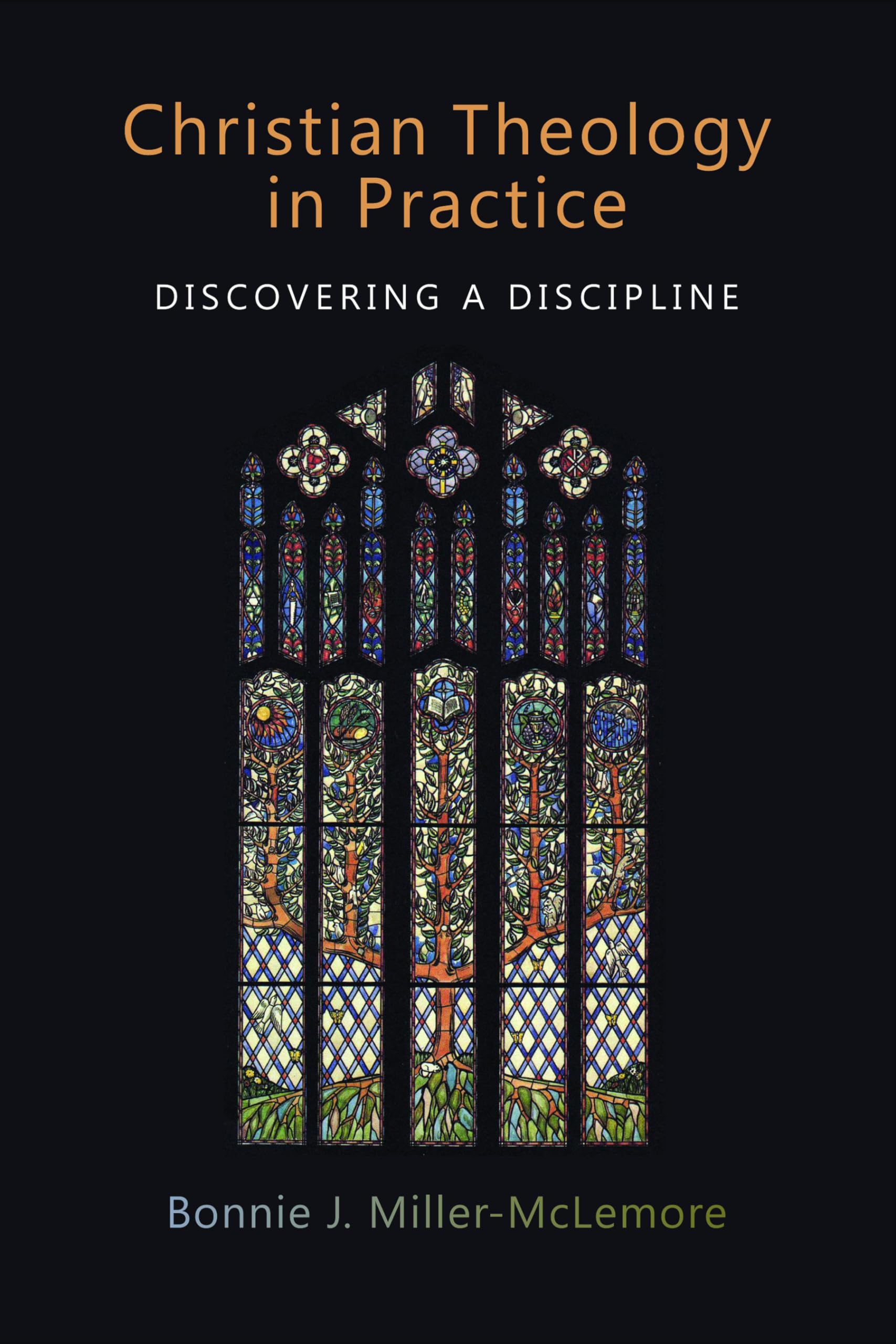 Christian Theology in practice: Discovering a Discipline - 2137