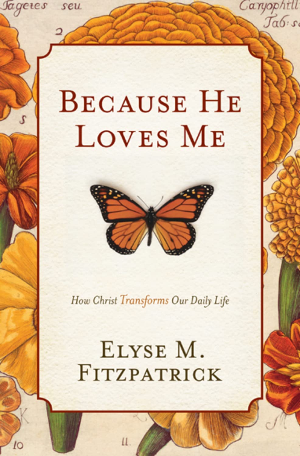 Because He Loves Me: How Christ Transforms Our Daily Life - 1101