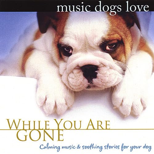 Music Dogs Love: While You Are Gone (Calm Music for Dogs Relaxation & Separation Anxiety) - 36