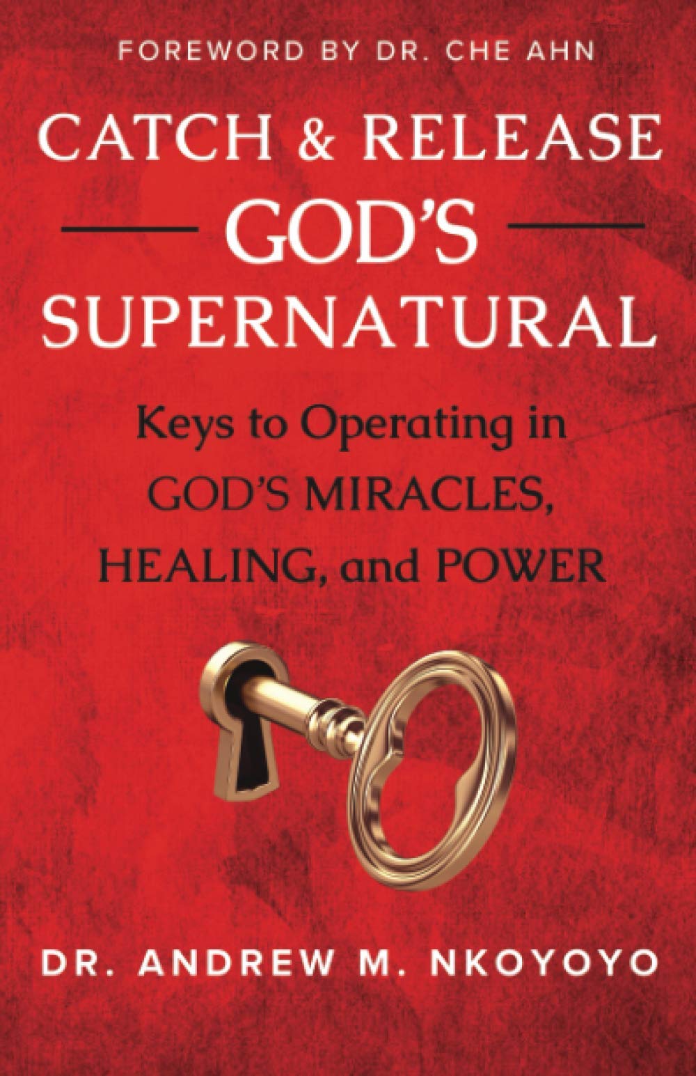 Catch and Release God's Supernatural: Keys to Operating in God’s Miracles, Healing, and Power - 3690