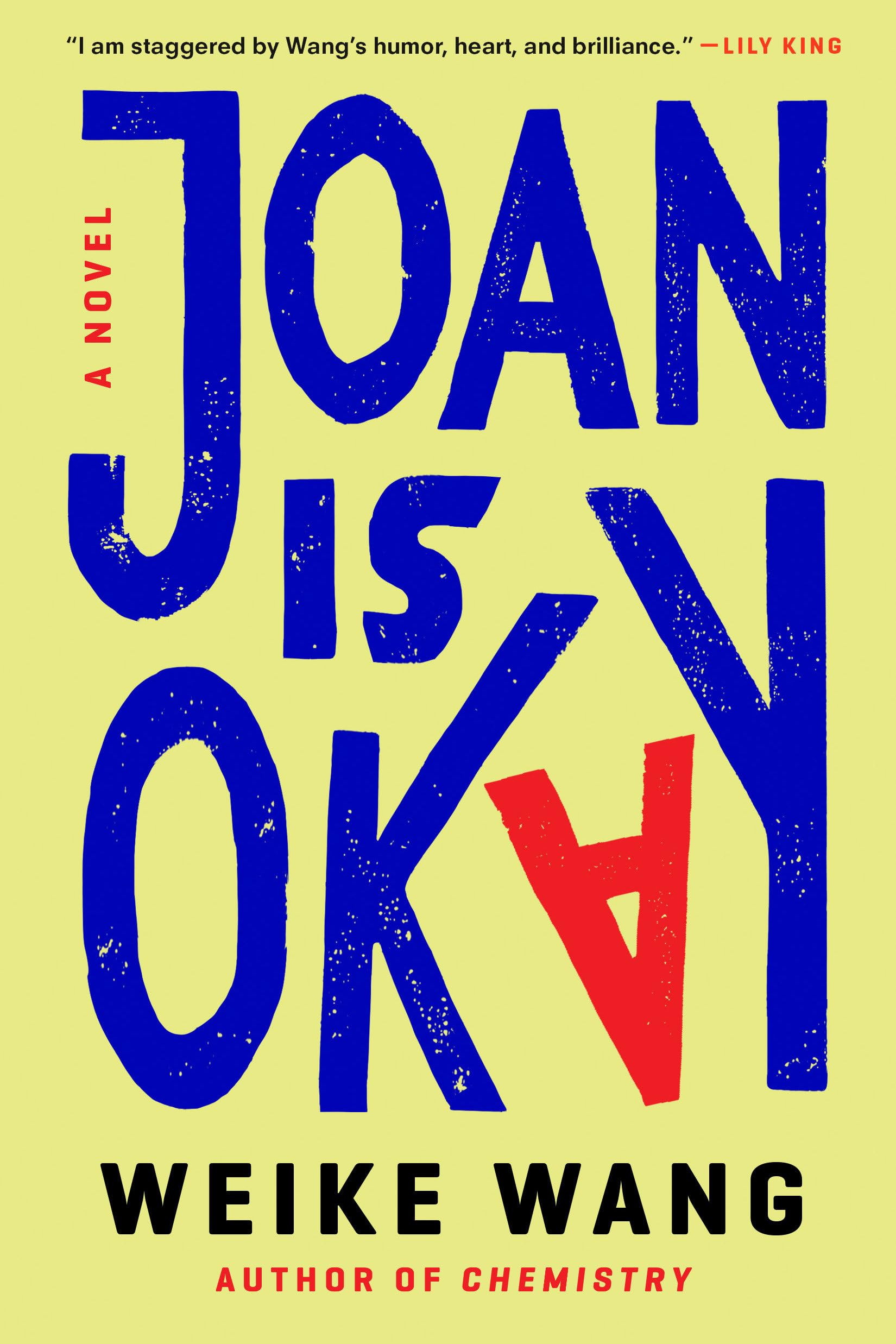 Joan Is Okay: A Novel - 9107