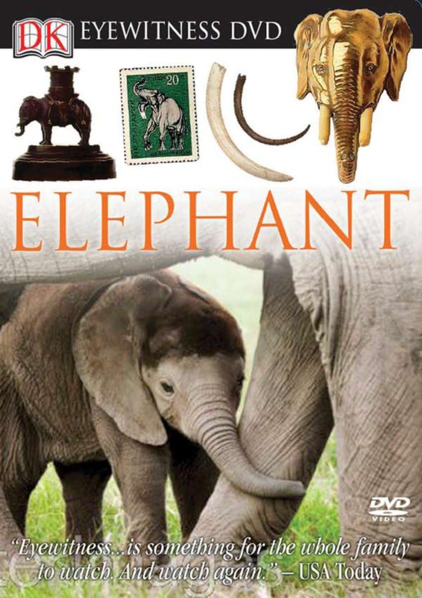 Eyewitness DVD: Elephant - 4636