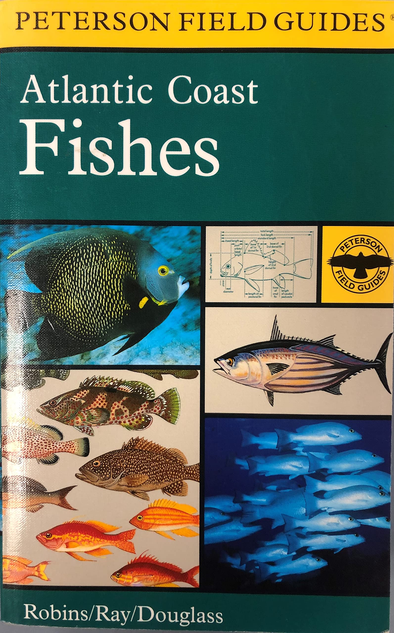 Atlantic Coast Fishes of North America (Peterson Field Guide) - 2220