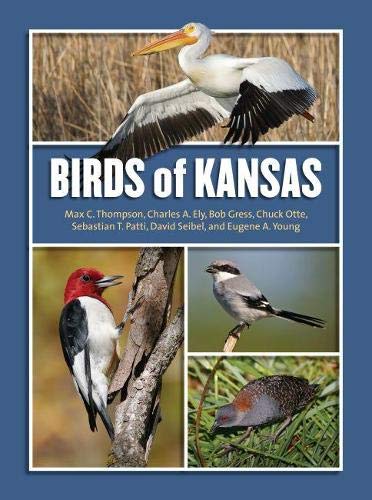 Birds of Kansas - 4948