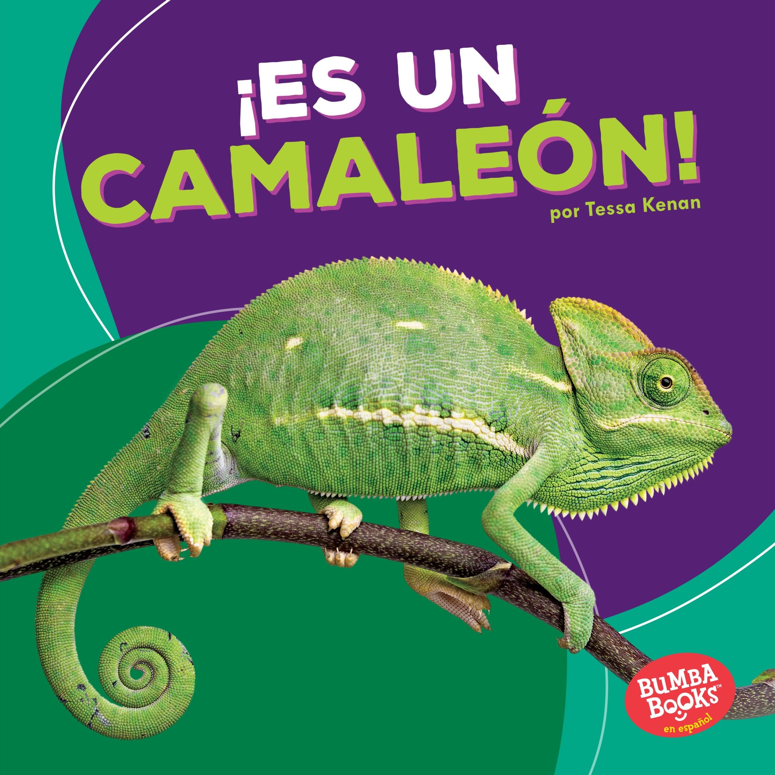 ¡Es un camaleón! (It's a Chameleon!) (Bumba Books ® en español ― Animales de la selva tropical (Rain Forest Animals)) (Spanish Edition) - 9867