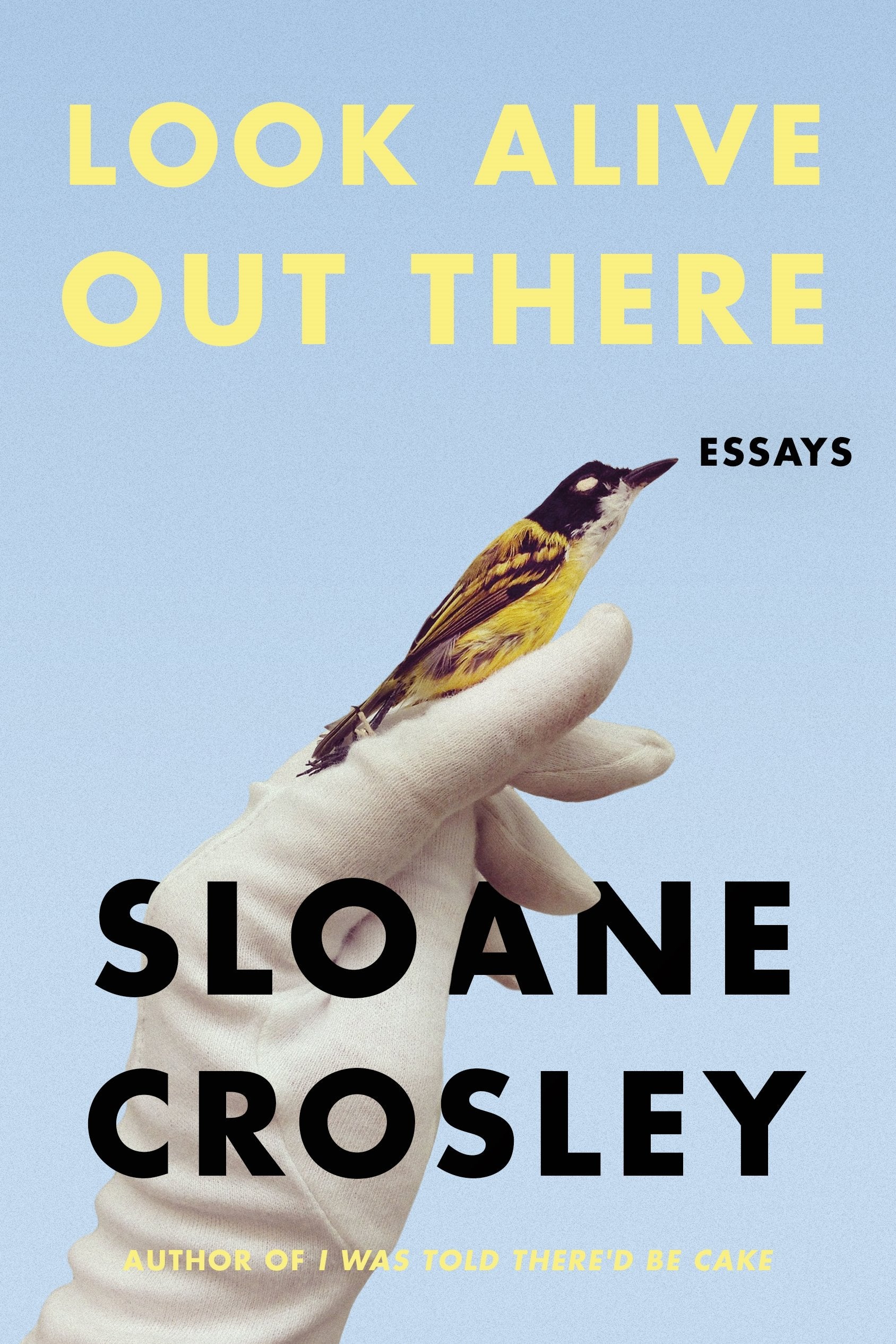 Look Alive Out There: Essays - 3218