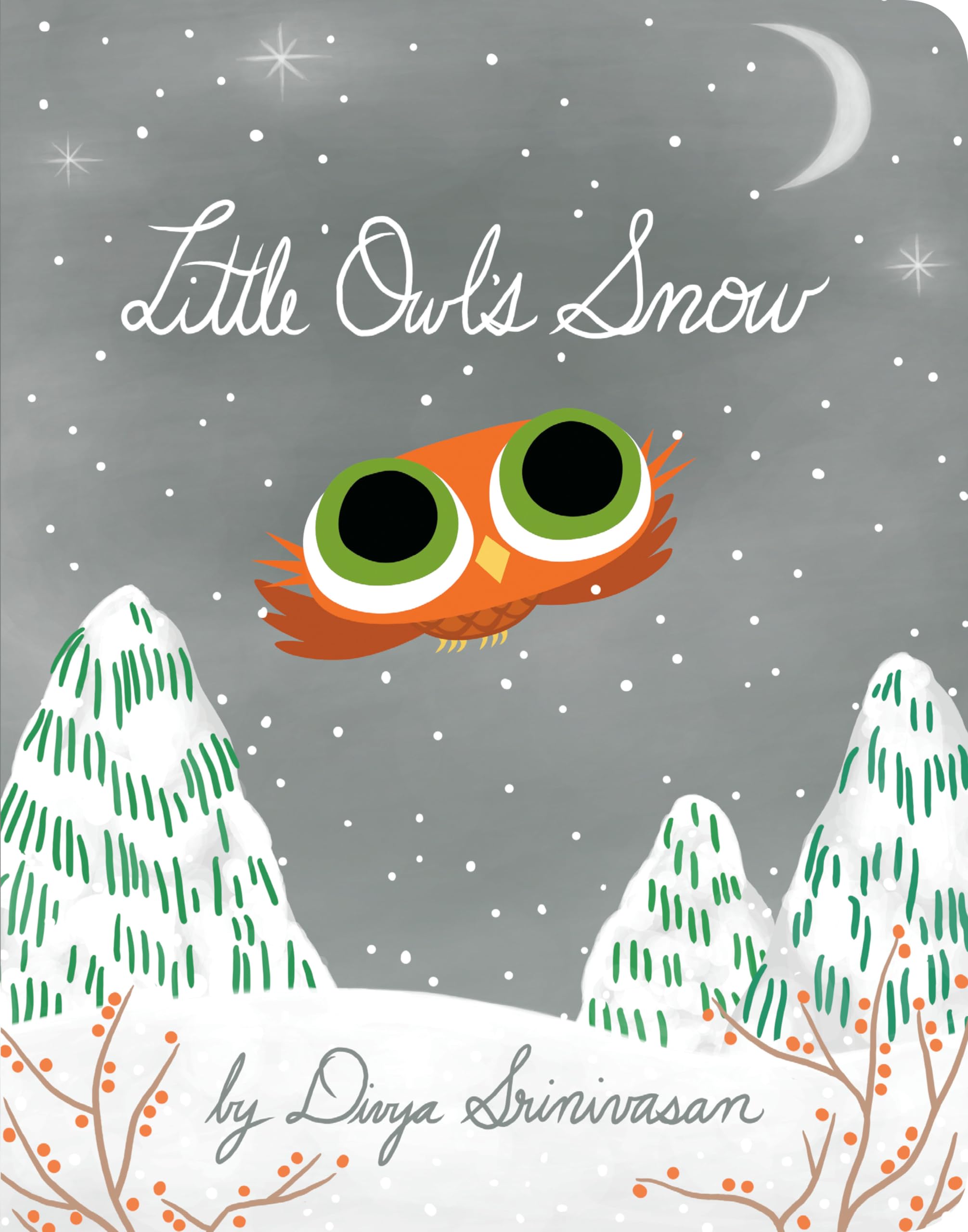 Little Owl's Snow - 6202