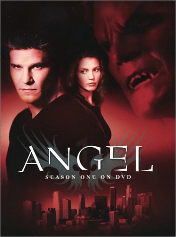 Angel - Season One [DVD] - 864