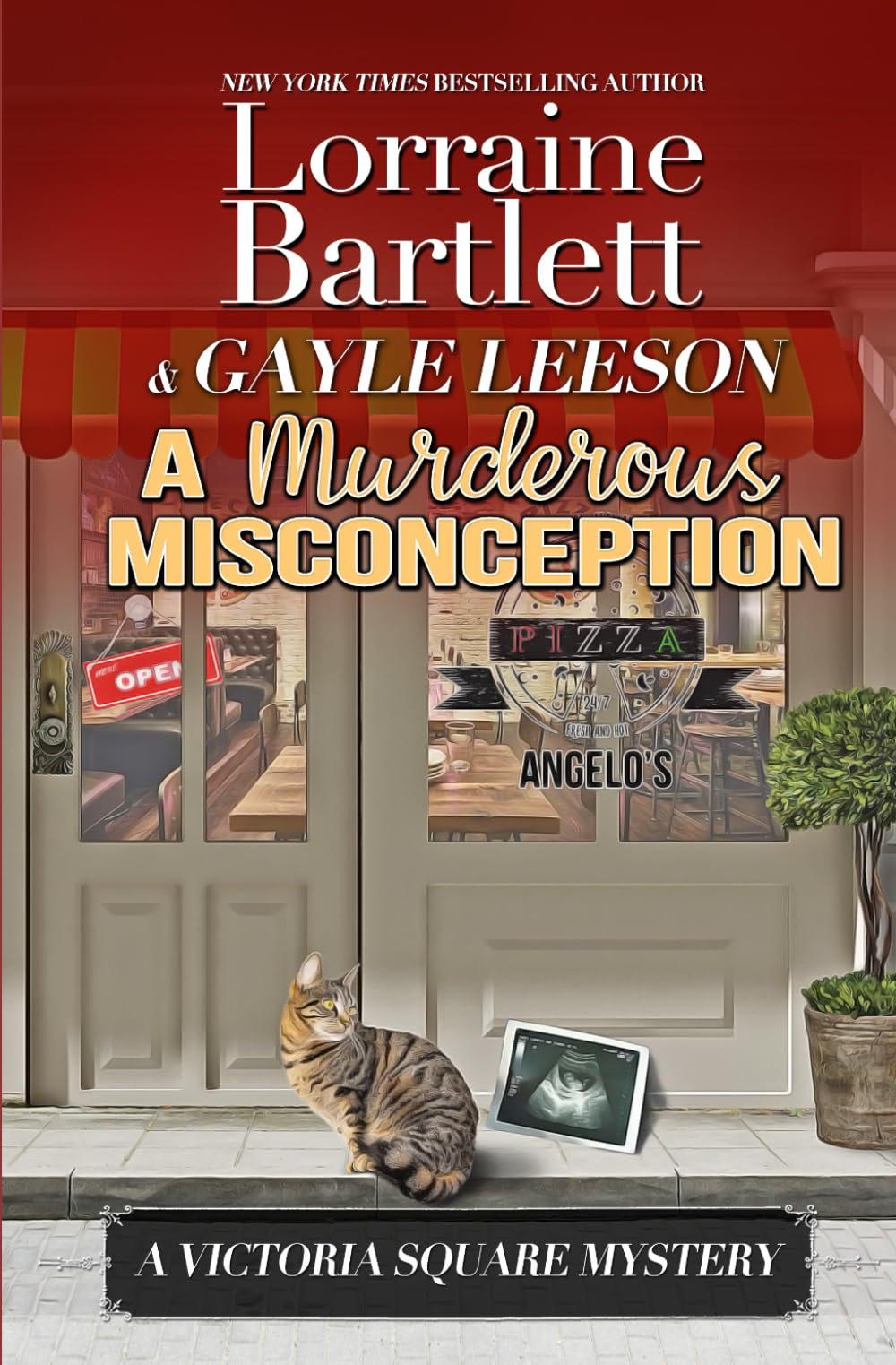 A Murderous Misconception (Victoria Square Mysteries)