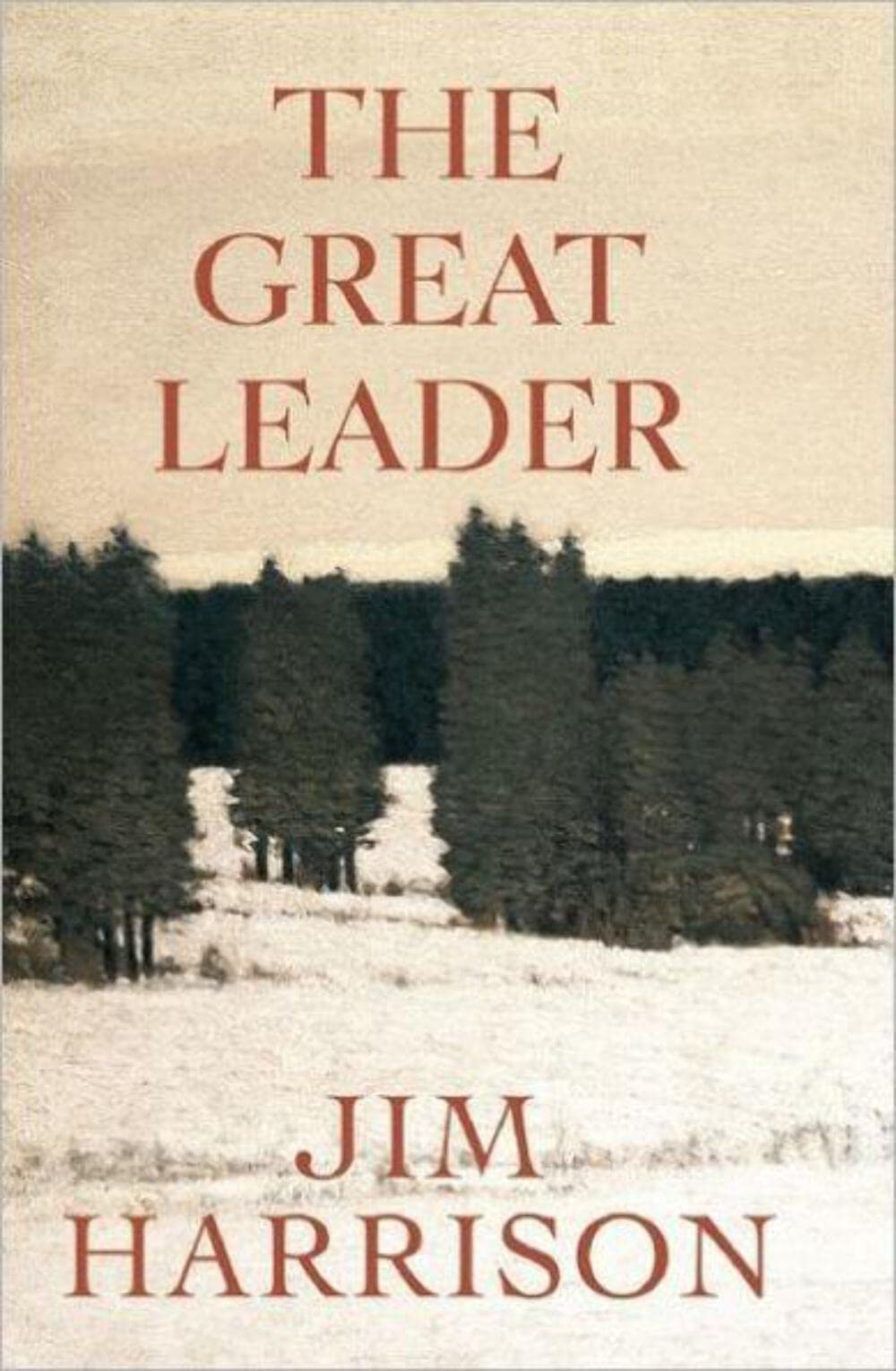 The Great Leader: A Faux Mystery - 4247