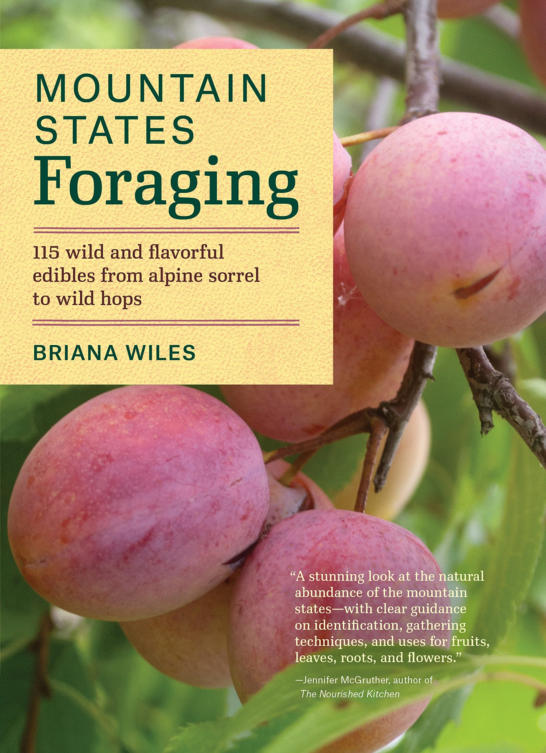 Mountain States Foraging: 115 Wild and Flavorful Edibles from Alpine Sorrel to Wild Hops (Regional Foraging Series) - 716