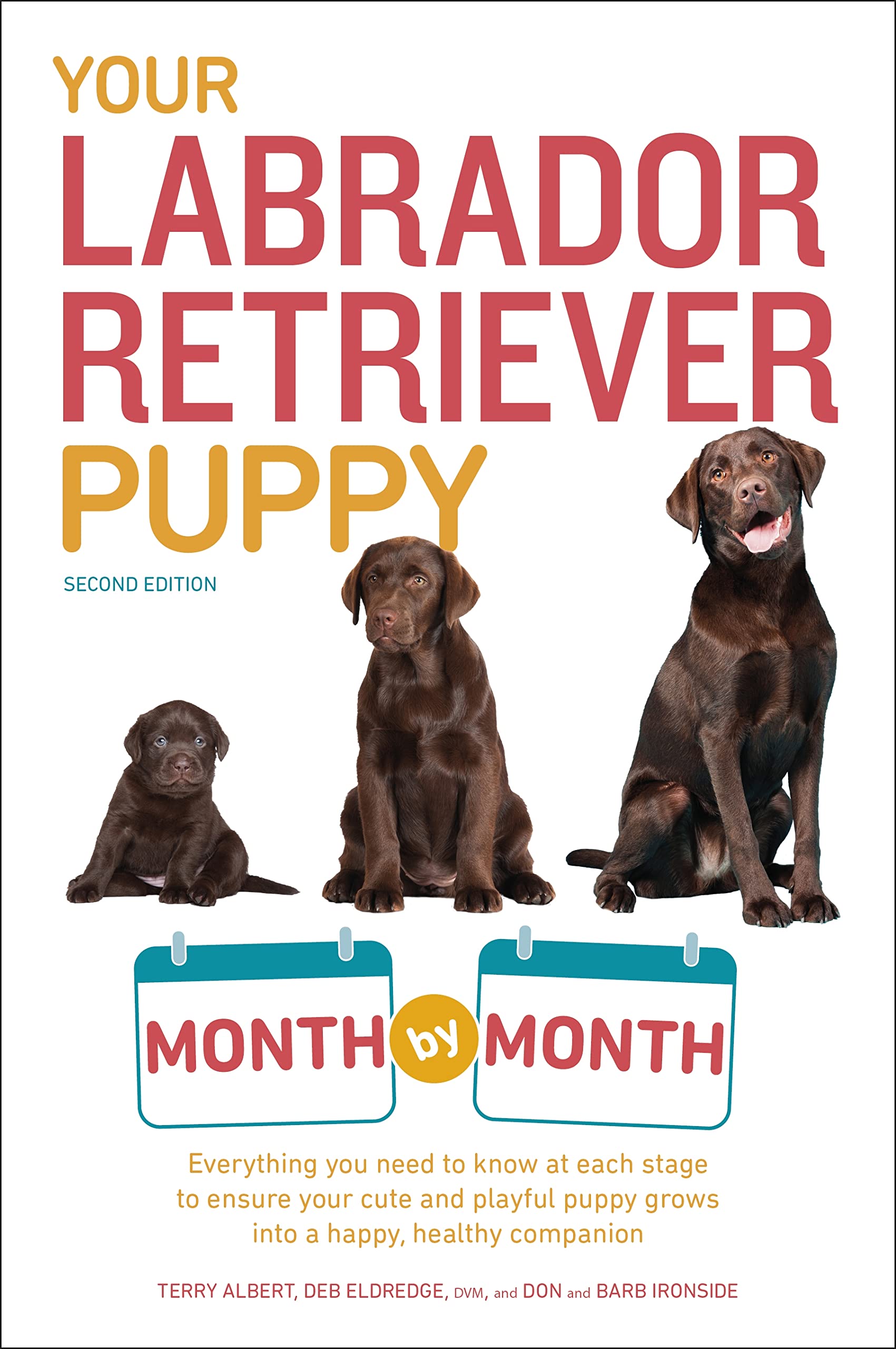 Your Labrador Retriever Puppy Month by Month, 2nd Edition: Everything You Need to Know at Each Stage of Development (Your Puppy Month by Month) - 7114