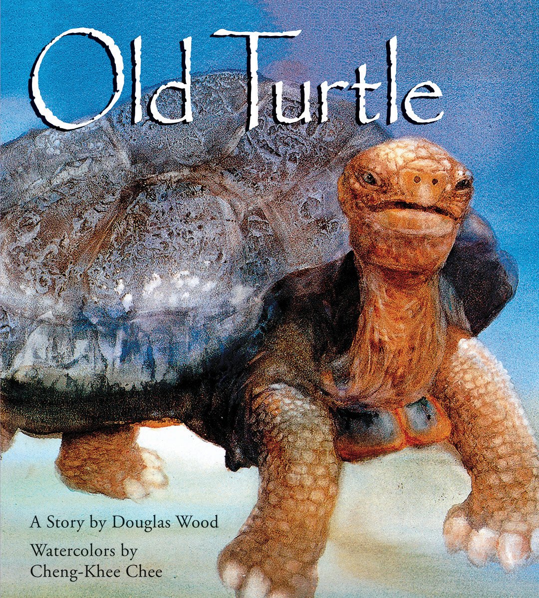 Old Turtle (Lessons of Old Turtle) - 3137