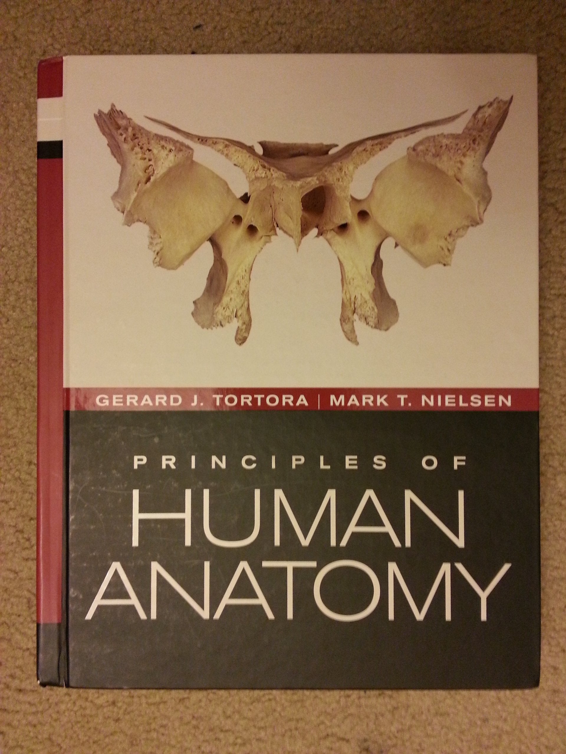 Principles of Human Anatomy - 121