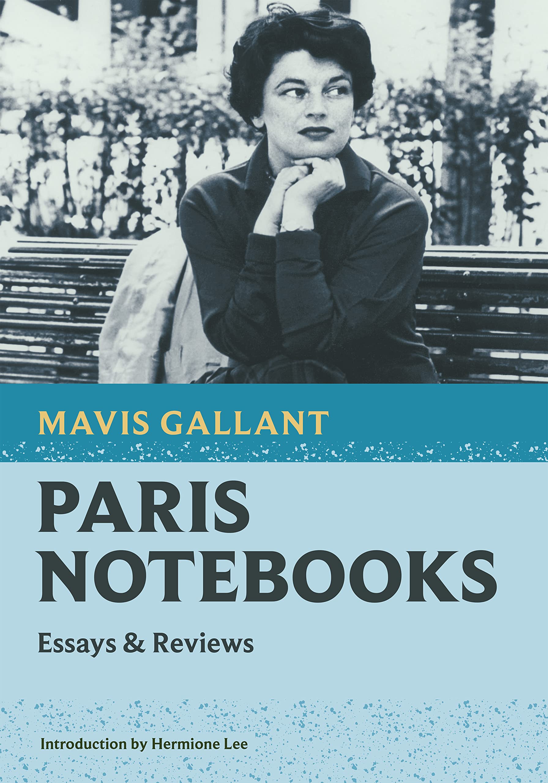 Paris Notebooks: Essays & Reviews (Nonpareil Books, 8) - 3697