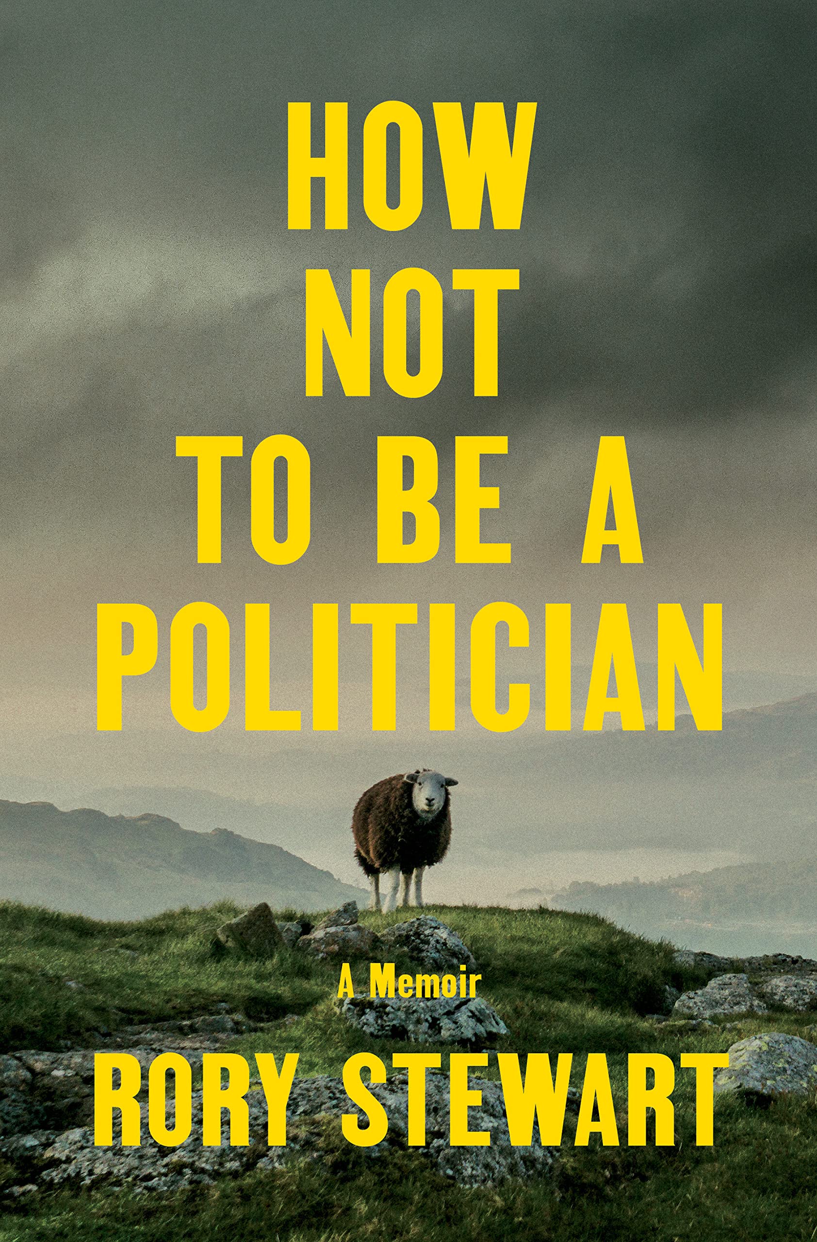 How Not to Be a Politician: A Memoir - 4199