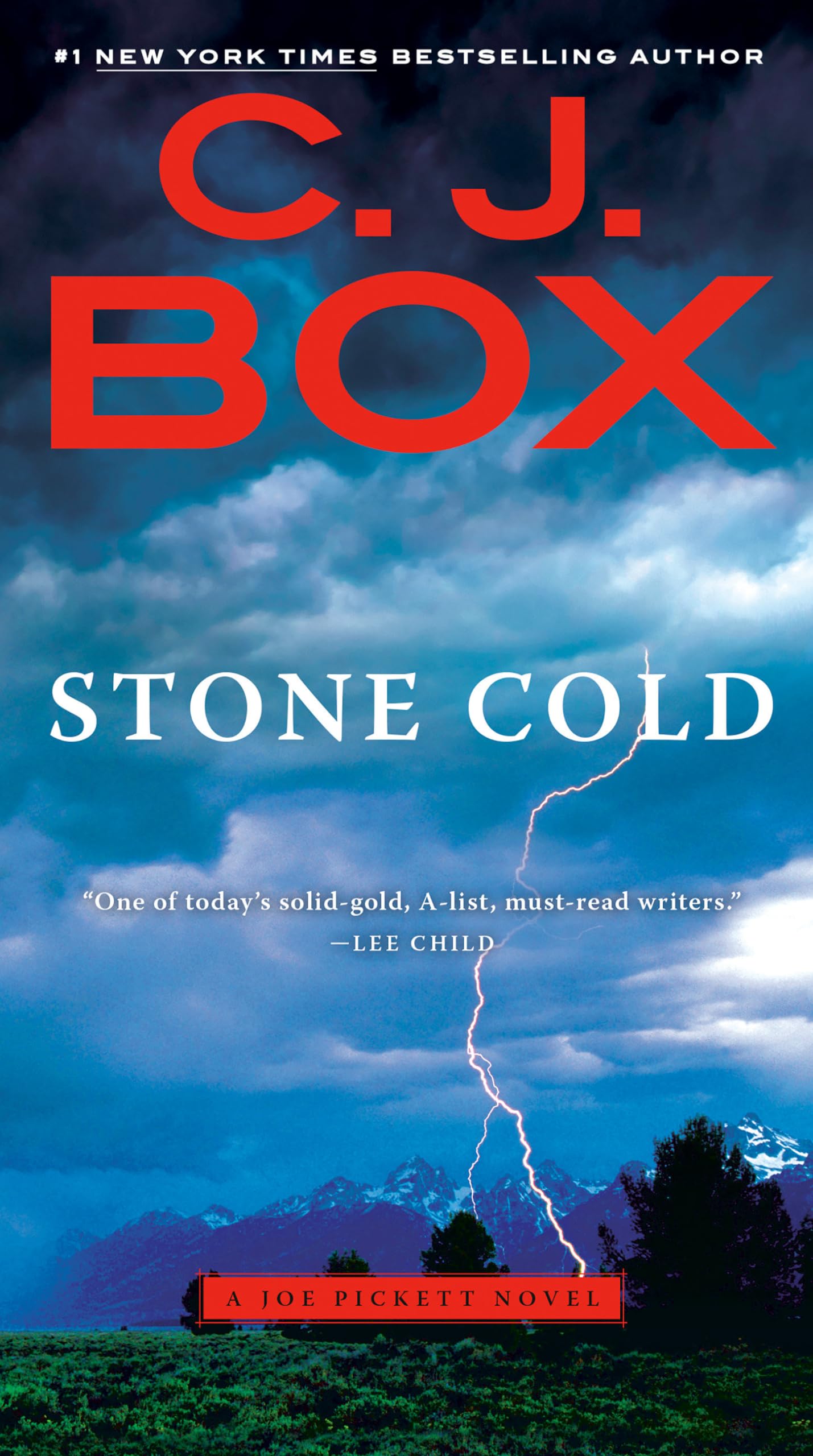 STONE COLD (A JOE PICKETT NOVEL) - 5334