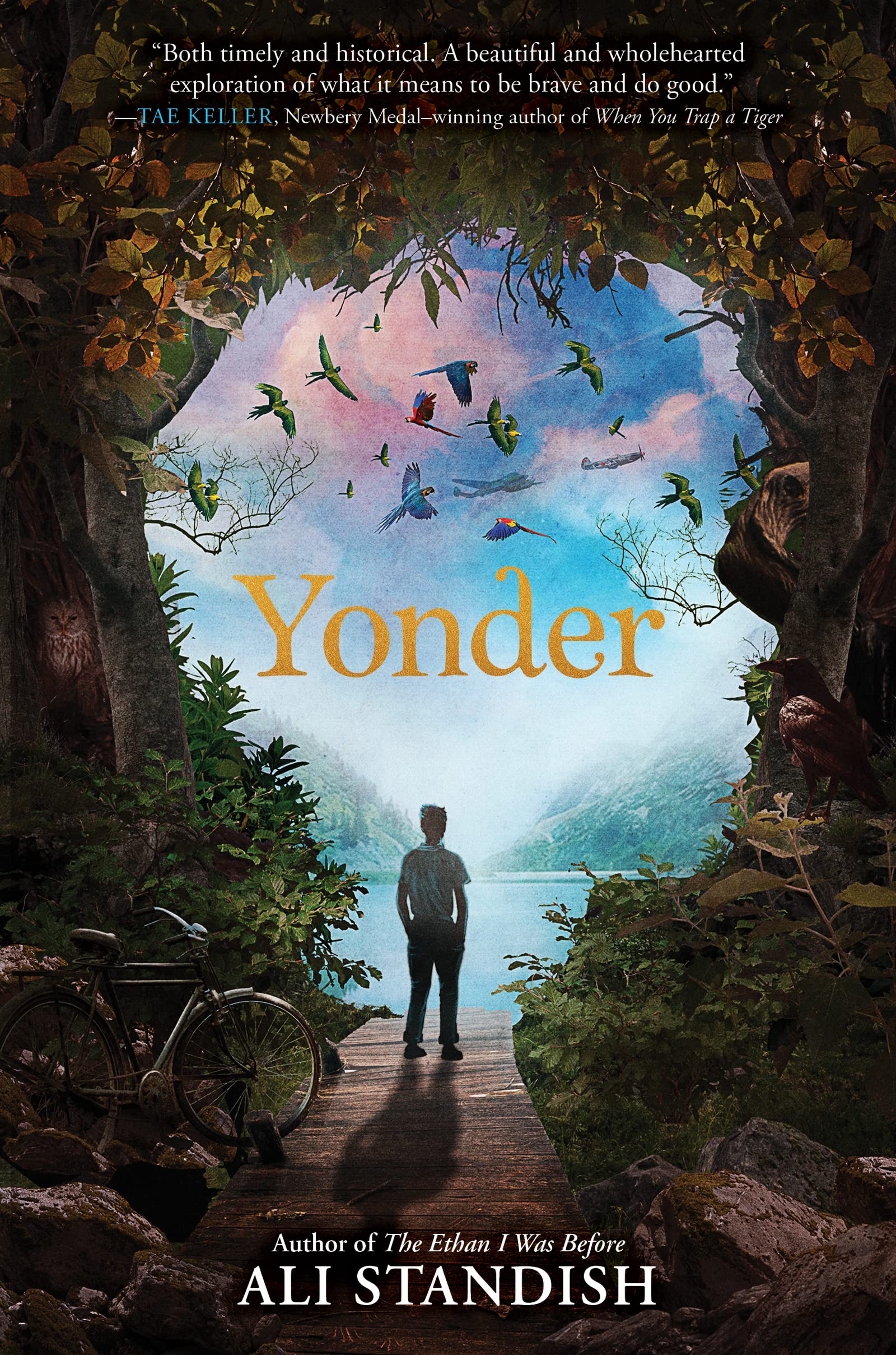 Yonder - 4348